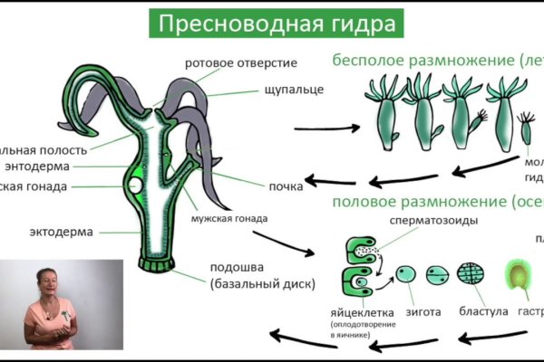 Кракен маркет