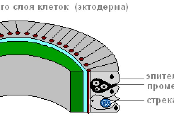 Tor зеркала