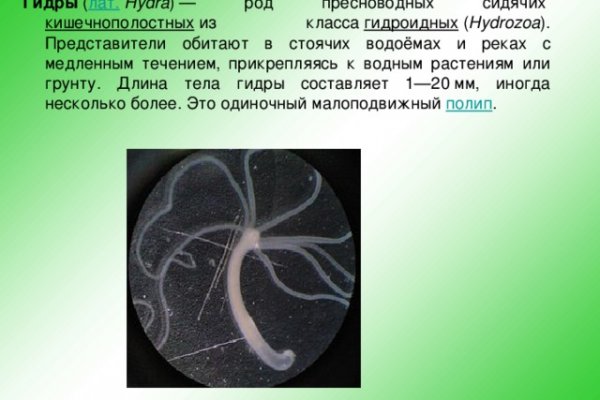 Каталог онион сайтов